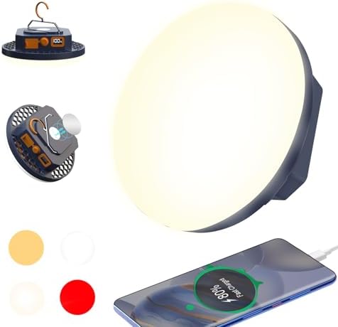 10000mAh 4000LM Camping Light 4 Light Modes Portable LED Camping Lantern Rechargeable Light 30W with Digital Power Display and Magnet , IPX5 Waterproof Tent Lights Power Failure Emergency Light by Fromnowonlightupthisworld