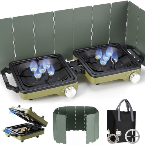 2-Burner Portable Propane Camping Stove with Windshield,Foldable Gas Stove by LEECICILE