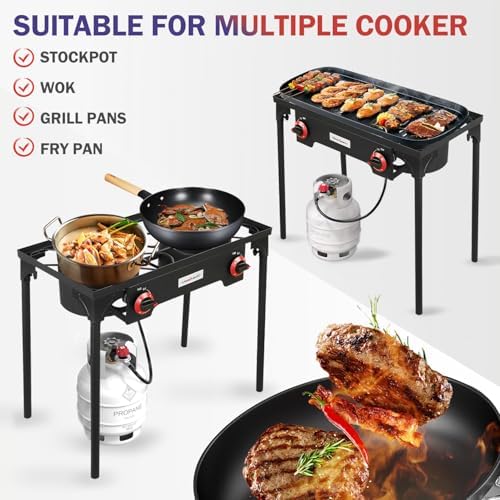 VIVICREATE Propane Grill 2 Burner Outdoor Propane Stove Portable Gas Grill High Pressure Camping Stove Double Burner Cooker for Camping Backyard BBQ Outdoor Cooking - Image 2
