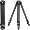 Falcam TreeRoot F38 Pro Carbon Fiber Tripod, 5kg Load, F22 Interfaces, 1/4" by Kongeeker