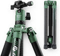 Fotopro Carbon Fiber Tripod 60 Inch 360 Degree Ball Head Quick Release Plate by Fotopro