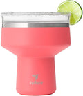 REDUCE Saltini 16 oz Cocktail Tumbler - Insulated Margarita Tumbler with Lid - Keeps Drinks Cold for 10 Hours - 360 Sippable Martini Glass Alternative - Shatterproof, Perfect for Parties - Daiquiri by Reduce