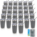 IEOVIEE 32 Pack, 20oz Stainless Steel Bulk Tumblers with Lids and Straws, Double Wall Insulated Travel Coffee Mug, Durable Powder Coated Tumbler Bulk Cup for Cold and Hot Drinks (Grey) by IEVOIEE