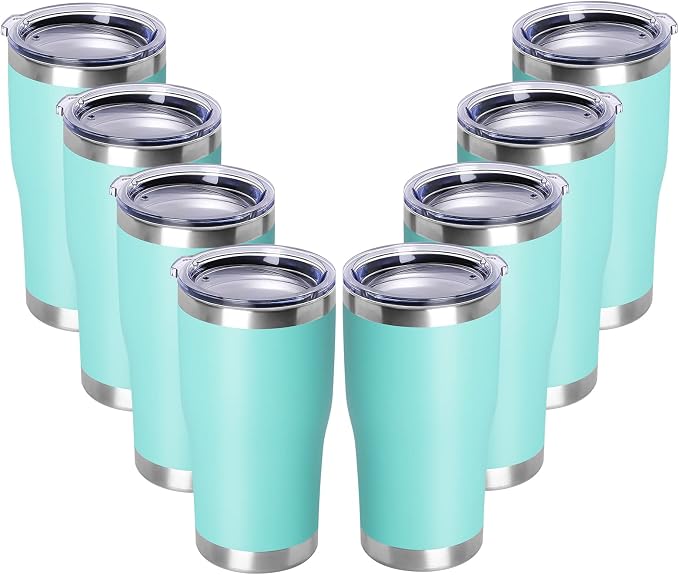 DOMICARE 20oz Tumbler with Lid Stainless Steel Tumblers Bulk, Double Wall by VisittheDOMICARE