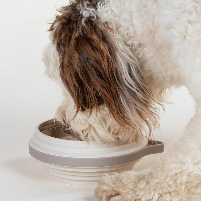 Nomad Large Collapsible Dog Bowl - Image 2