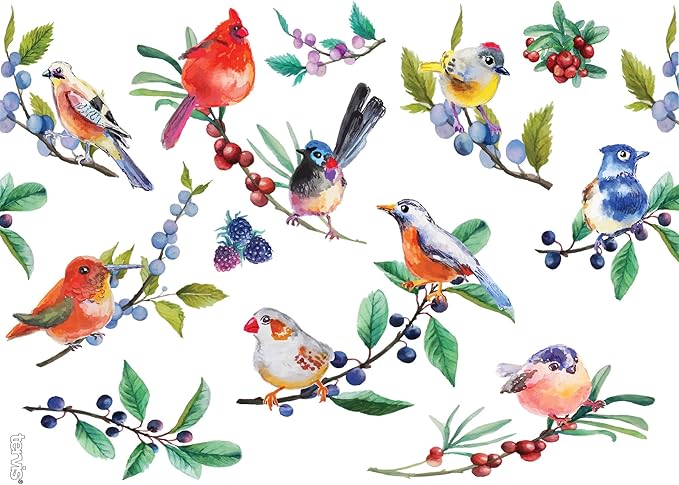 Tervis Watercolor Songbirds Made in USA Double Walled Insulated Tumbler Cup Keeps Drinks Cold & Hot, 24oz, Clear - Image 2